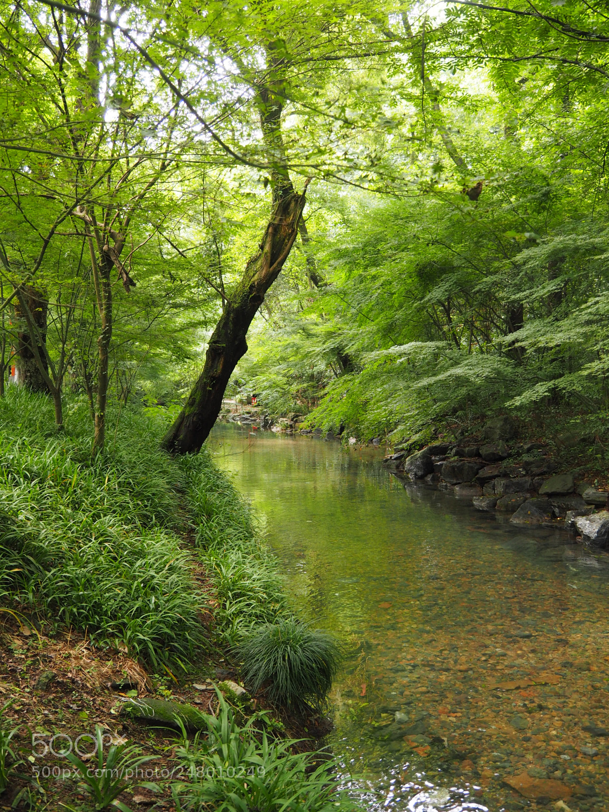 Olympus OM-D E-M10 sample photo. River photography