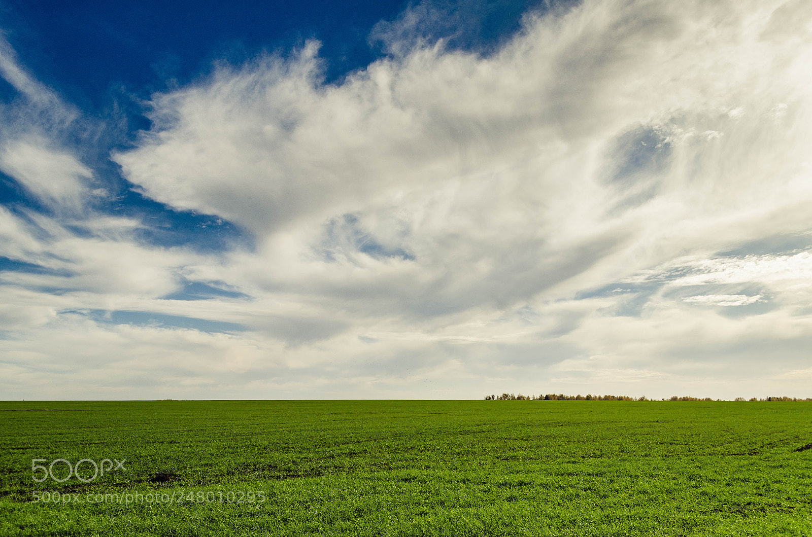 Nikon D5100 sample photo. October photography