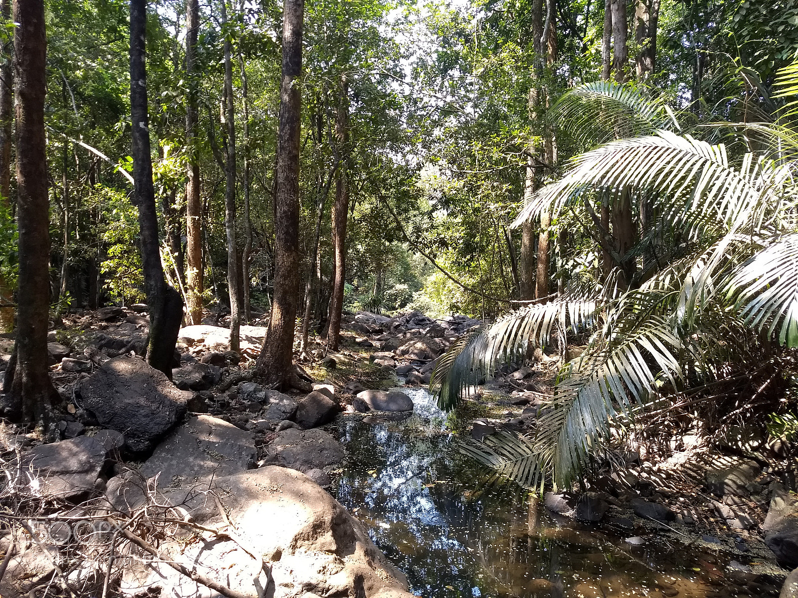 Motorola Moto G (5) Plus sample photo. Temptation photography