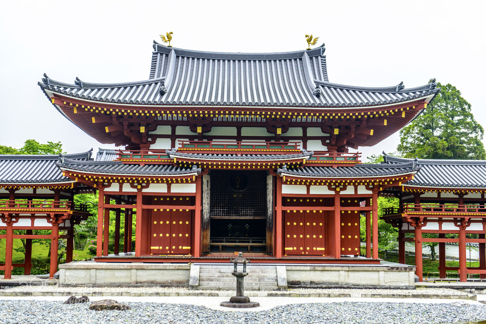 Nikon D800 sample photo. The  phoenix hall  平等院鳳凰堂 photography