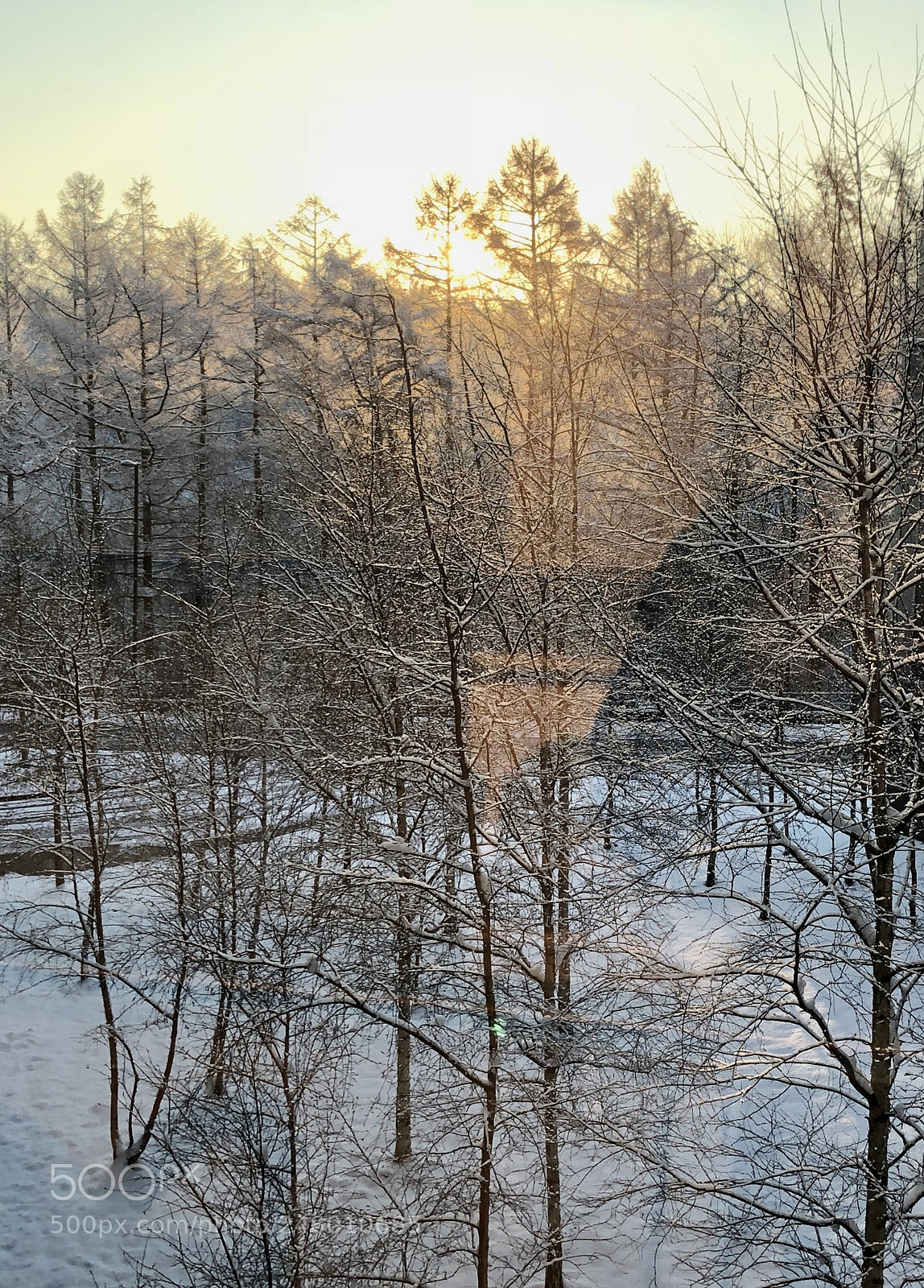 Apple iPhone 8 Plus sample photo. Snowy sunrise photography