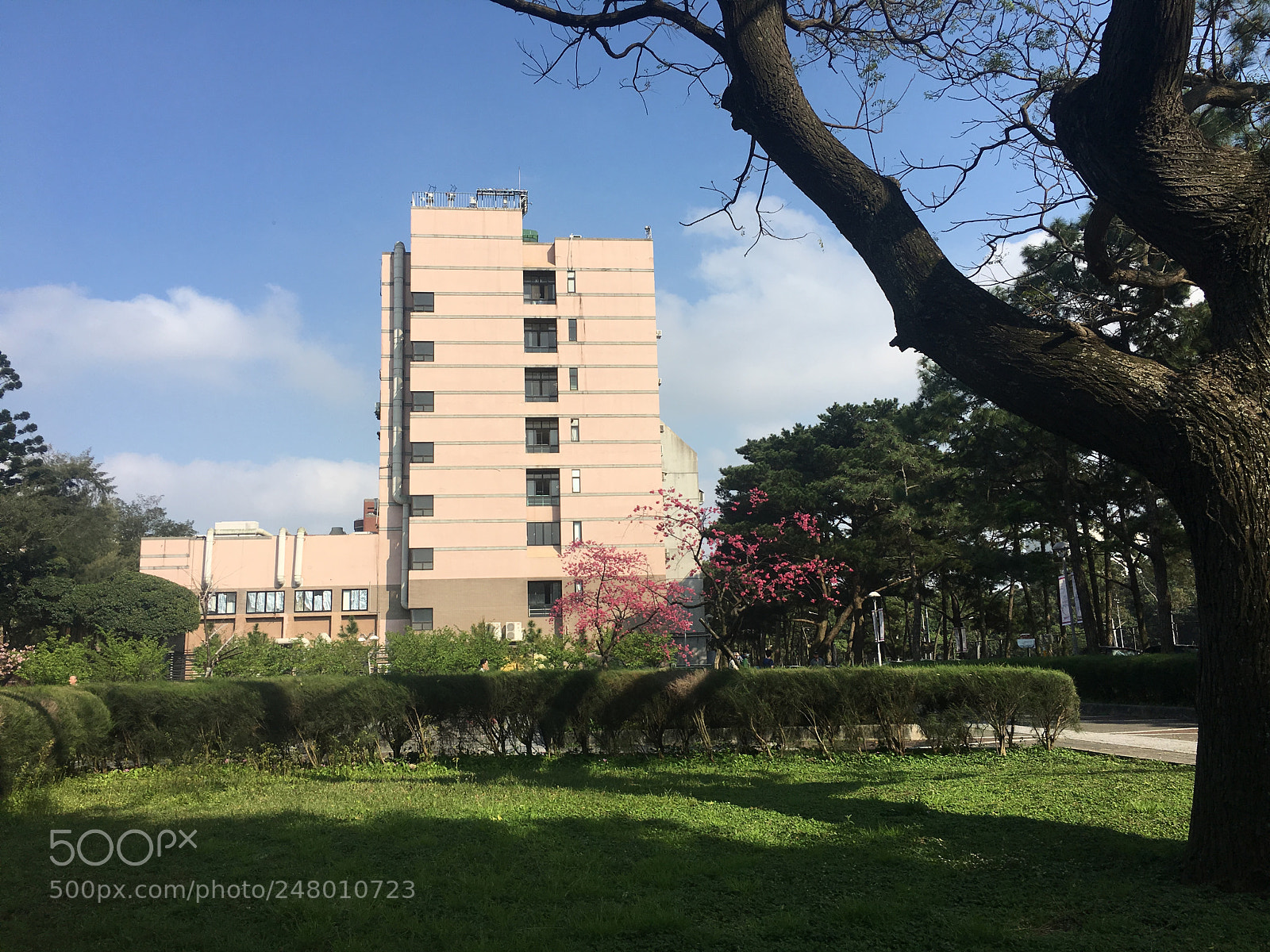 Apple iPhone 6s Plus sample photo. 中央大學 橋邊 photography
