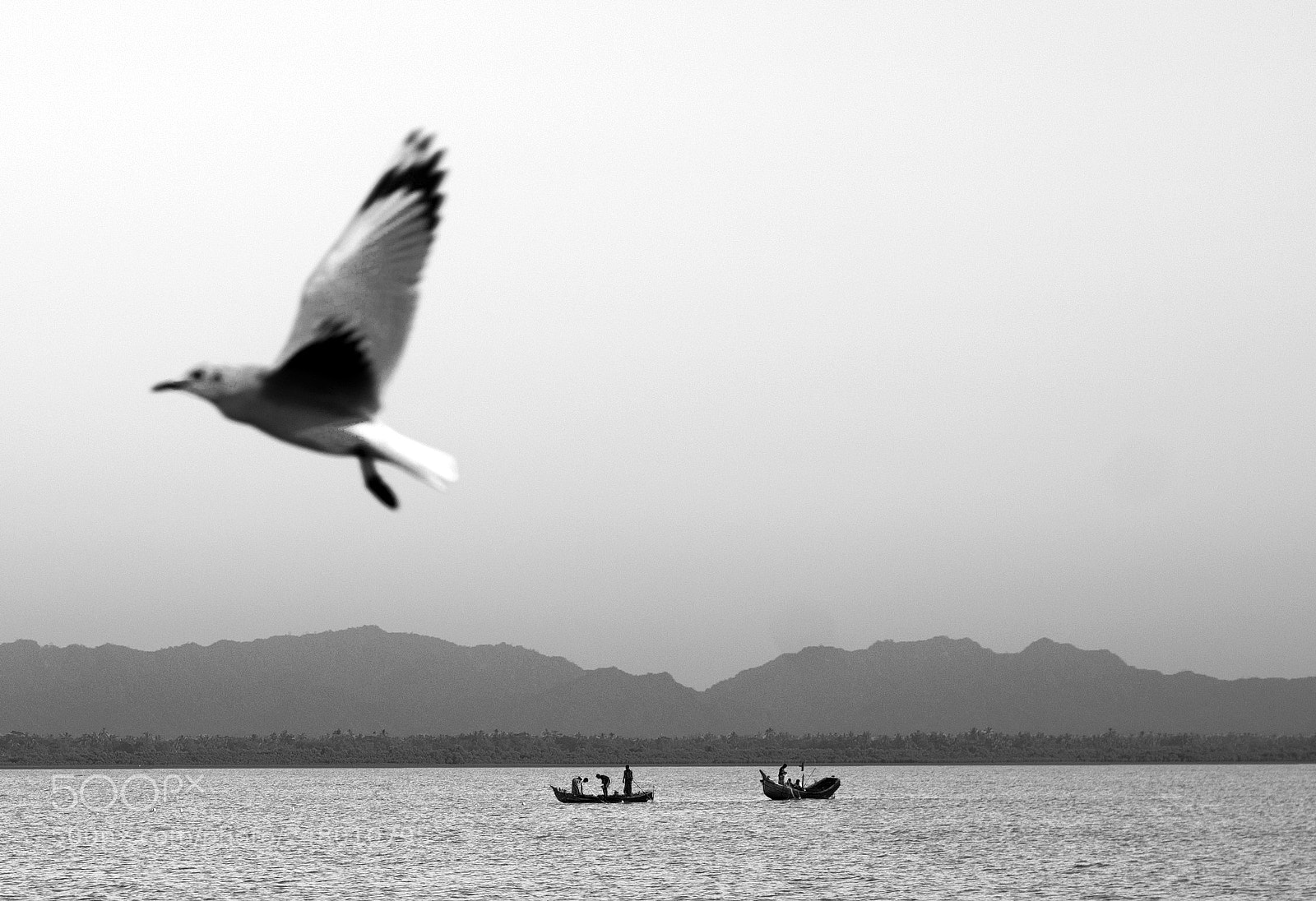 Canon EOS 1100D (EOS Rebel T3 / EOS Kiss X50) sample photo. Fishermen & the giant bird photography