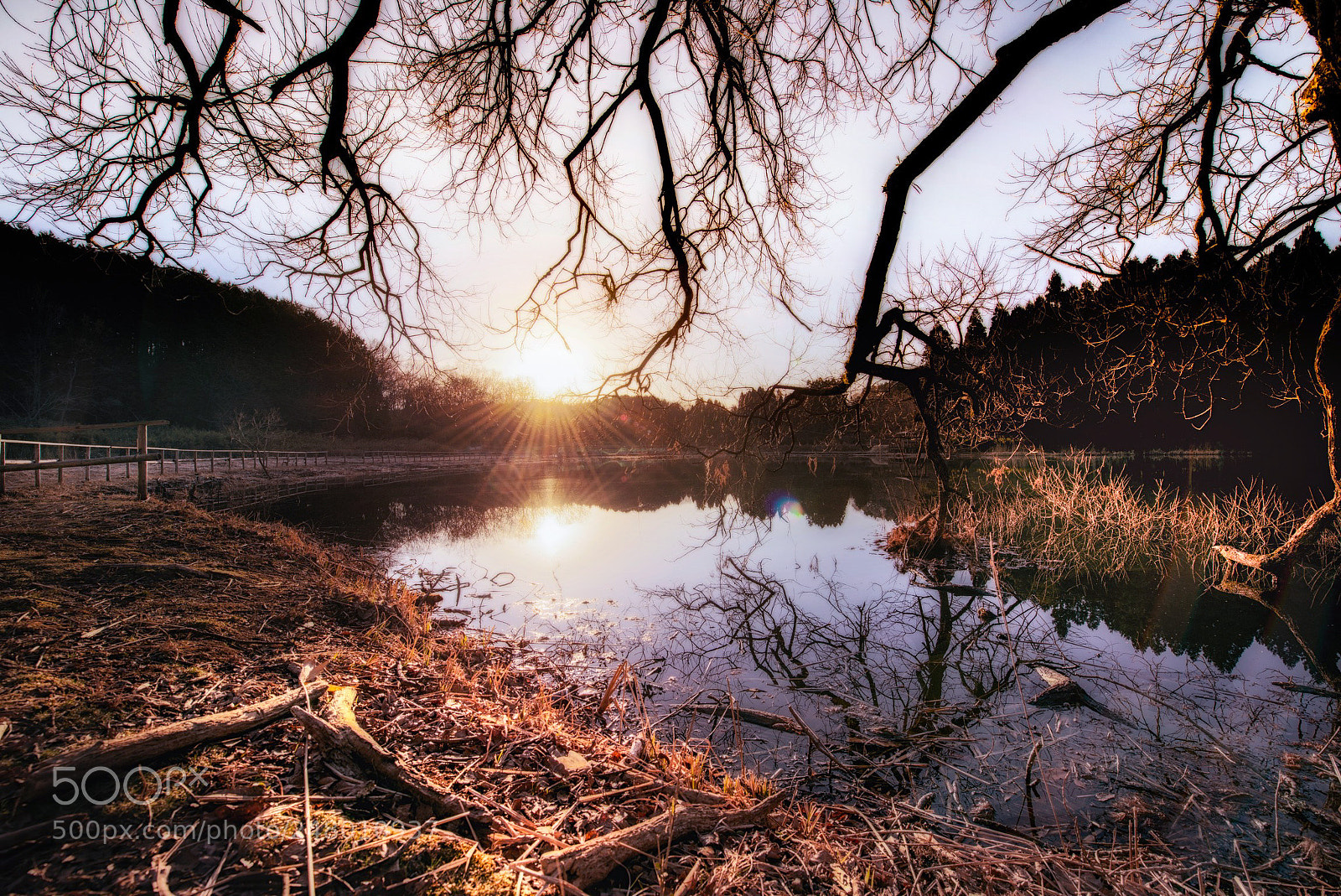 Nikon D800E sample photo. Rise photography