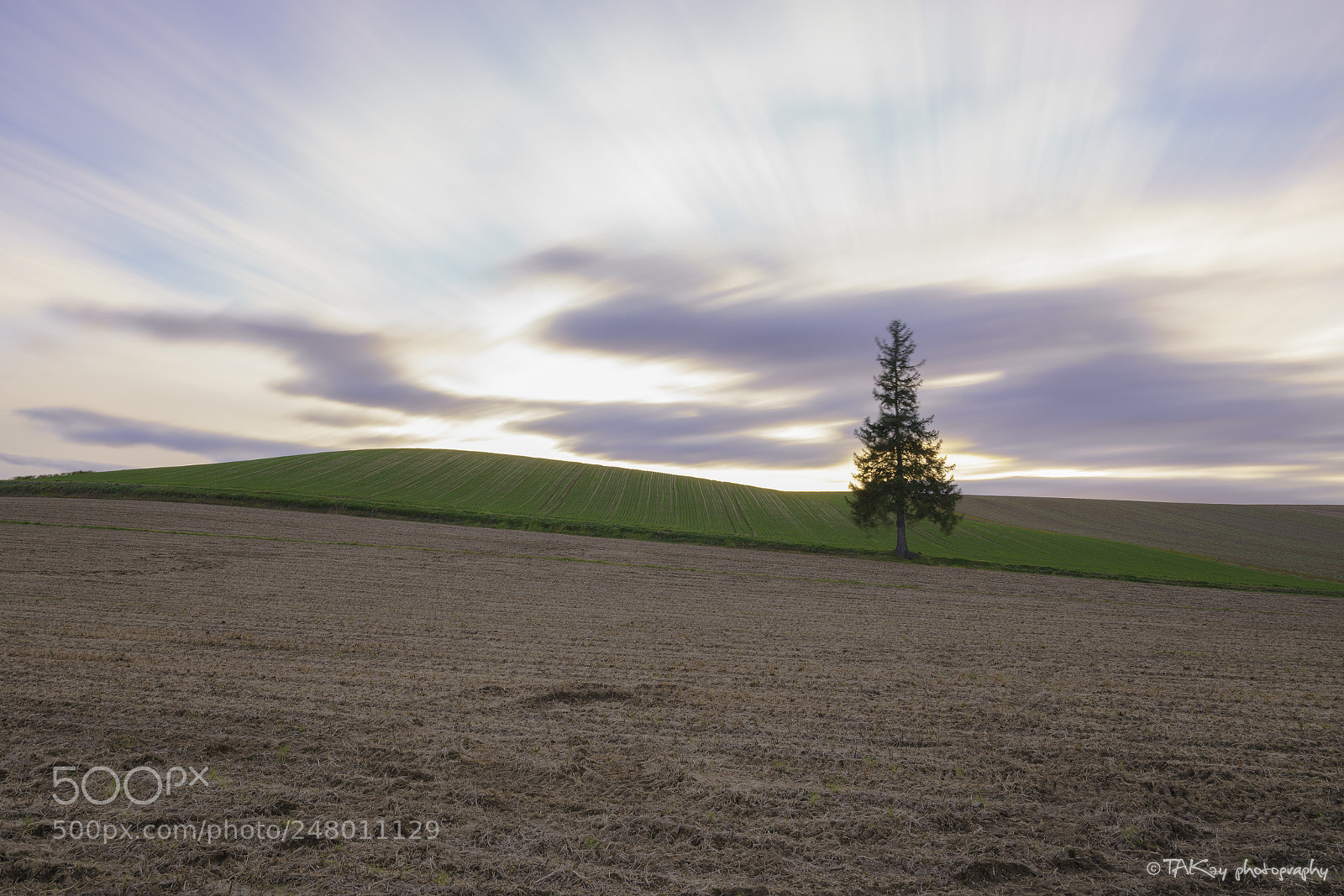 Sony a7R II sample photo. Christmas sunset photography