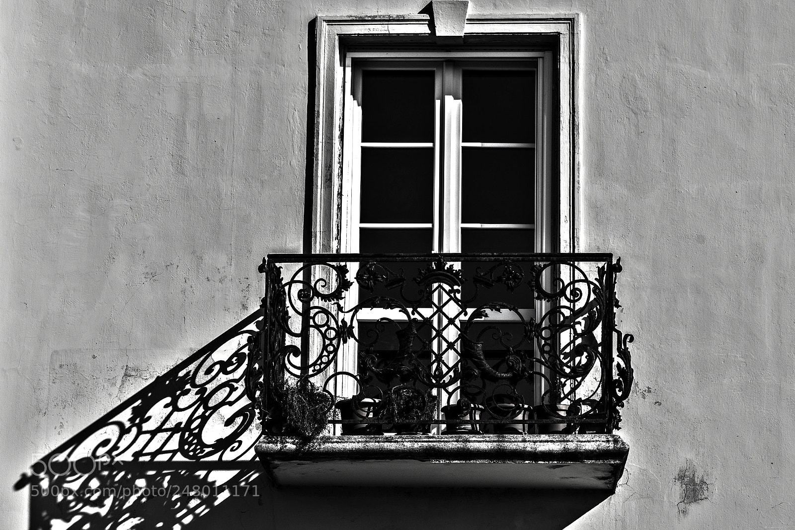 Nikon D7100 sample photo. Untitled photography