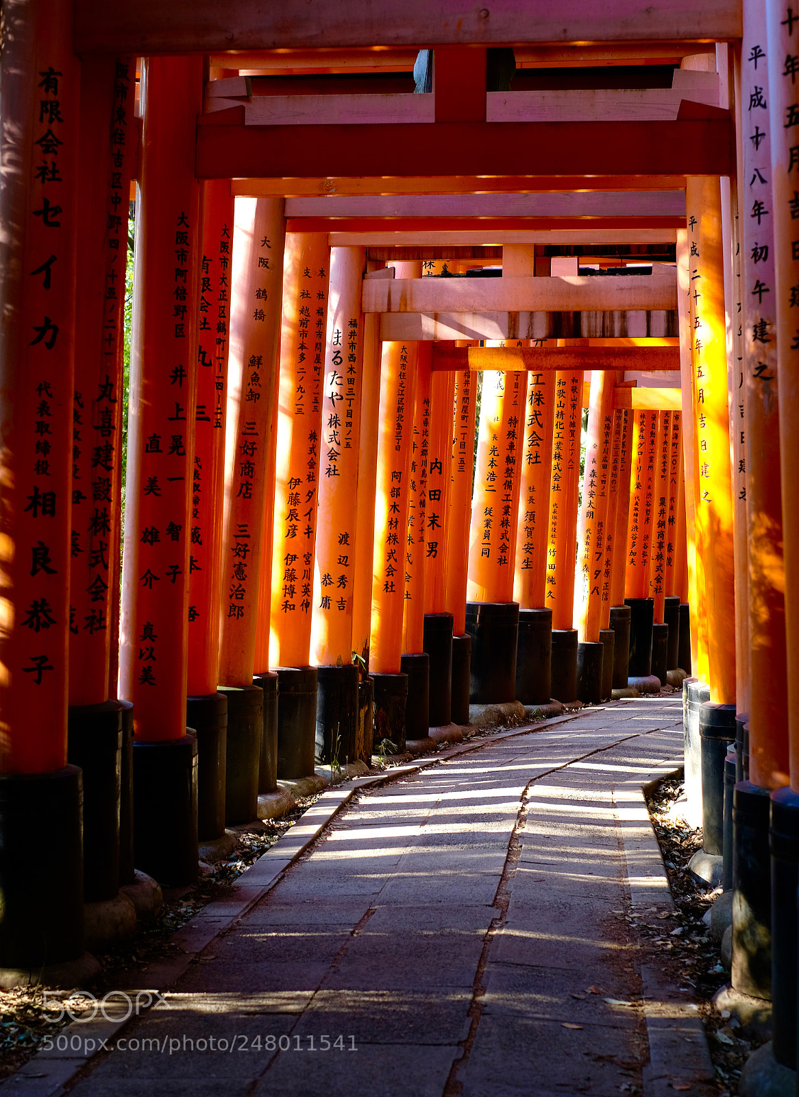 Fujifilm X-Pro2 sample photo. 千本鸟居 photography