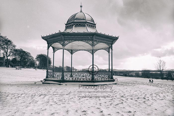 Nikon D700 sample photo. Silence in the snow photography