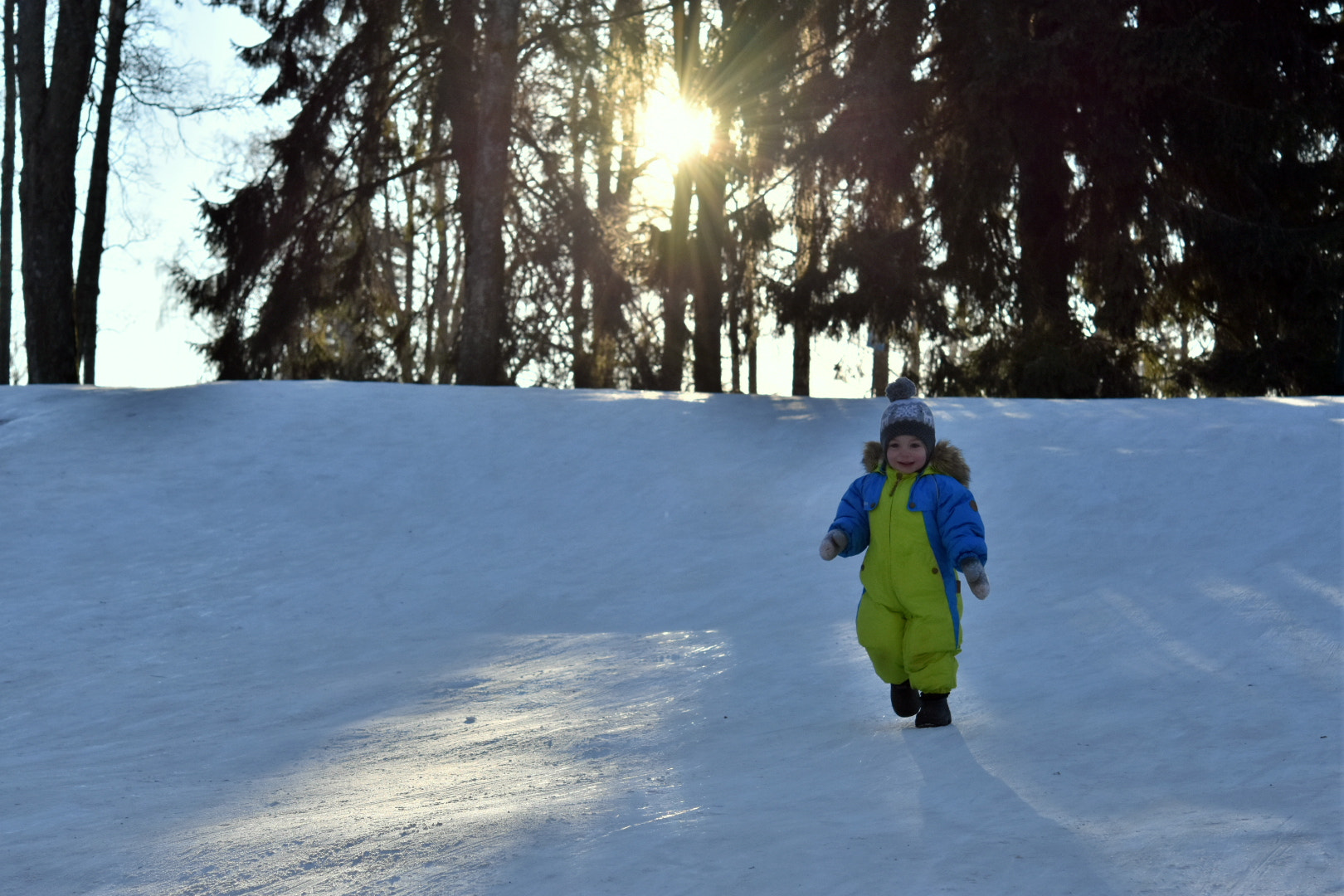 Nikon D3400 + Nikon AF-S Micro-Nikkor 60mm F2.8G ED sample photo. Winter wonders photography