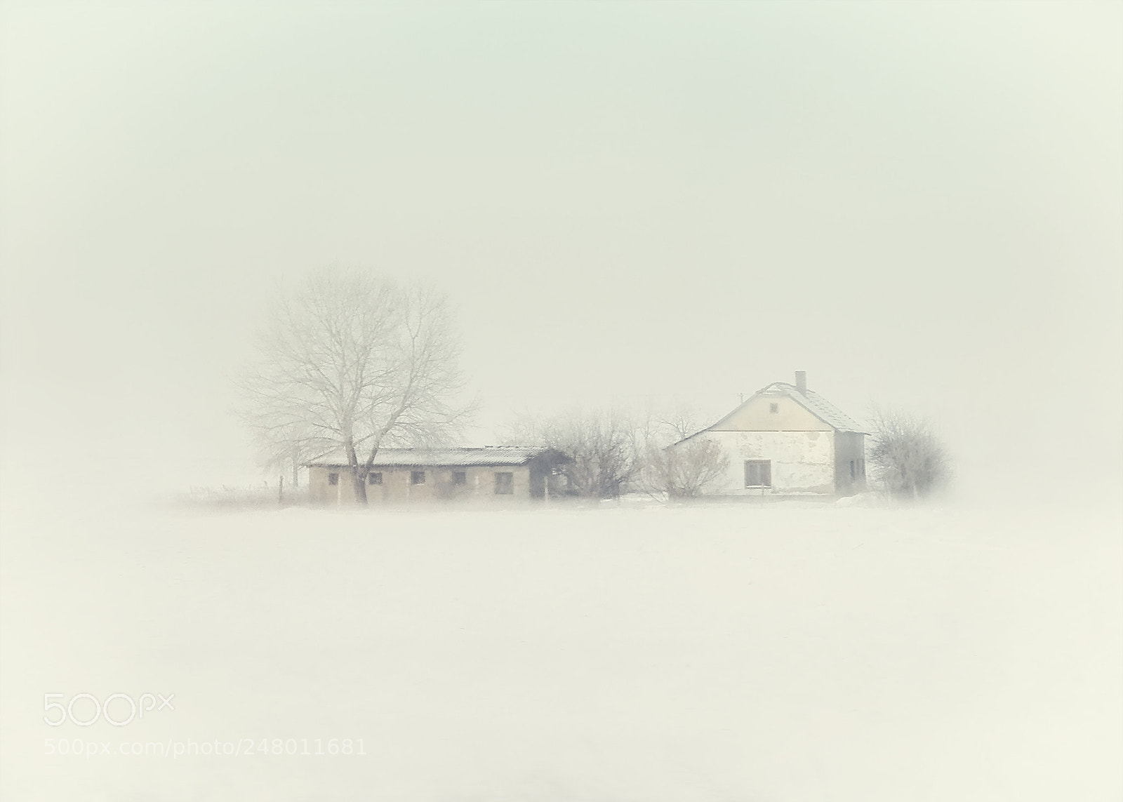 HUAWEI P8 Lite sample photo. Farm in snow and photography