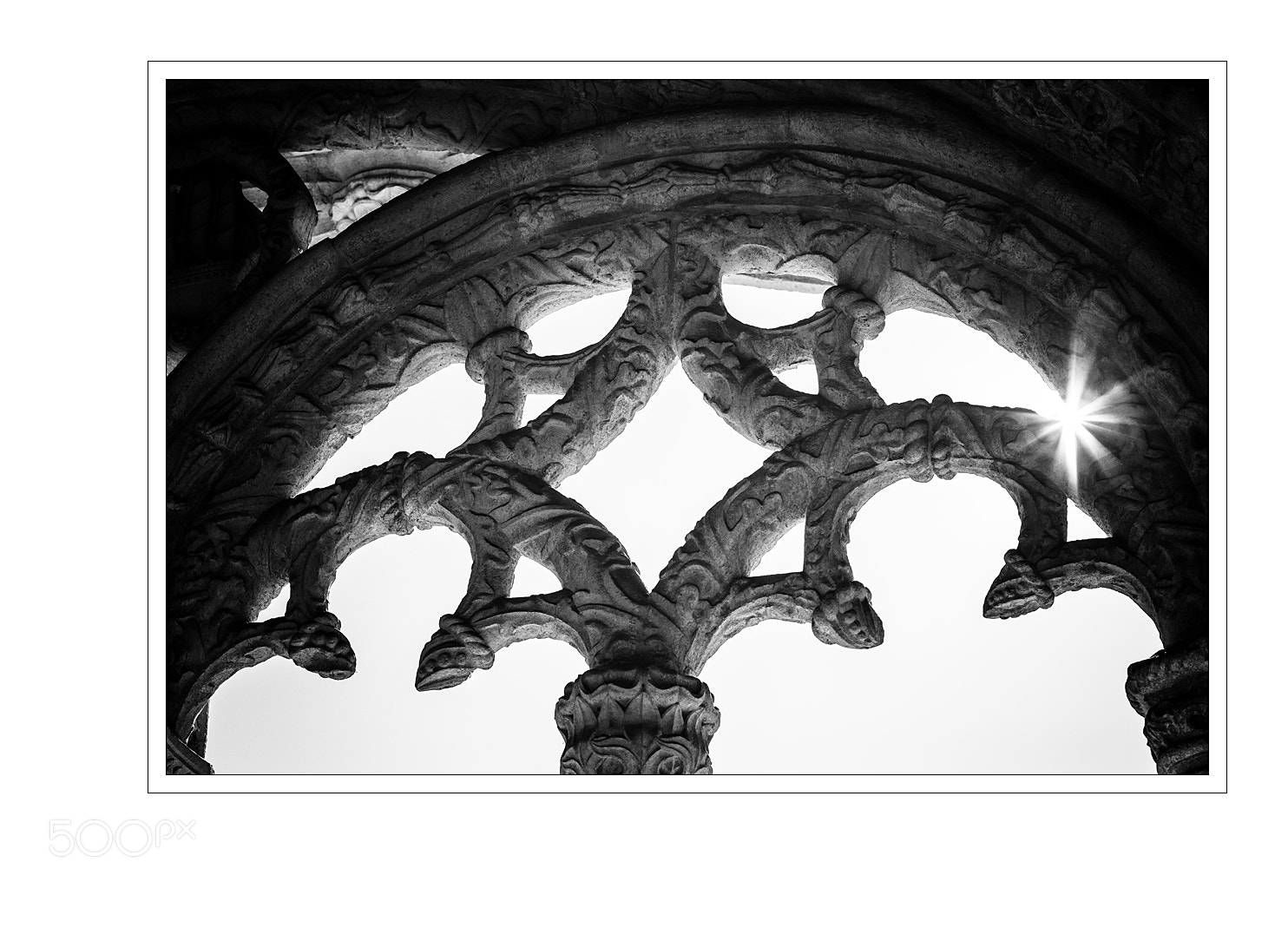Nikon D5 sample photo. Rays photography