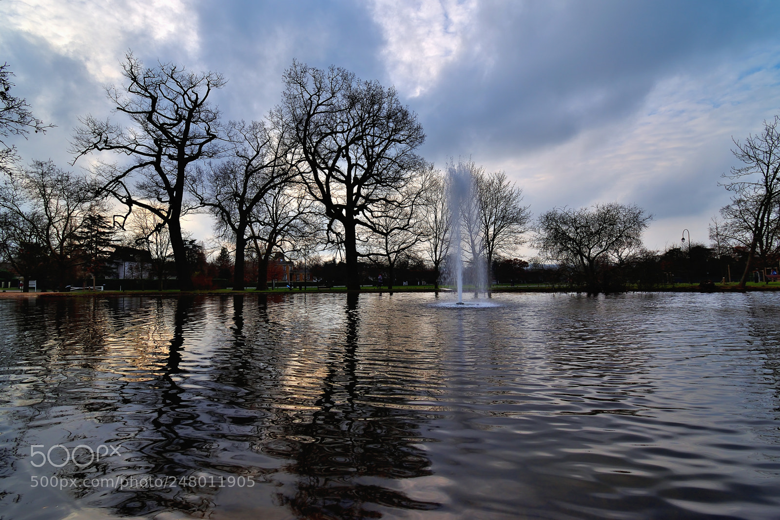 Nikon D5600 sample photo. Reflection photography