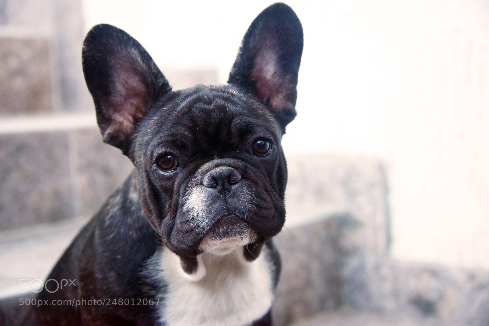 Nikon D800 sample photo. Toma photography