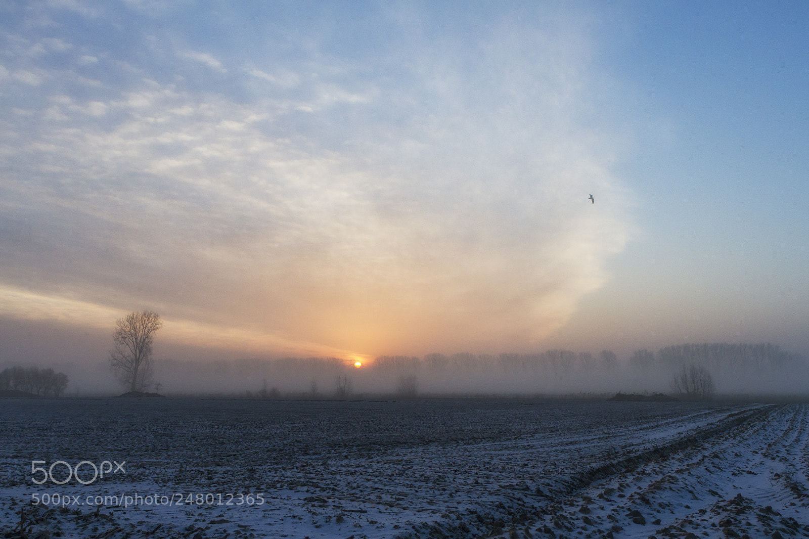 Canon EOS 7D sample photo. Winter morning photography