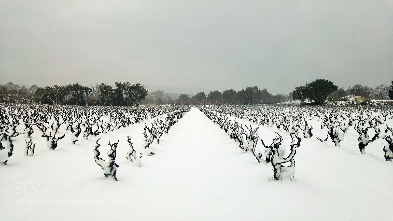 LG G4 sample photo. Snow in provence photography