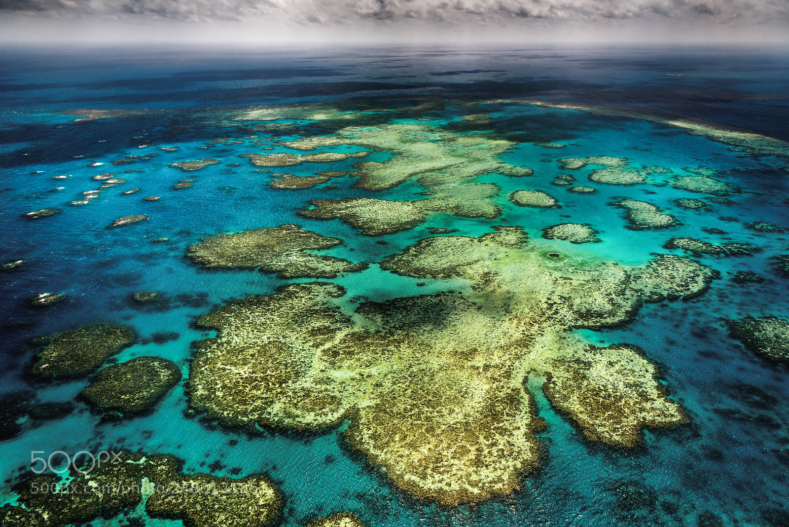 Nikon D750 sample photo. Great barrier reef photography