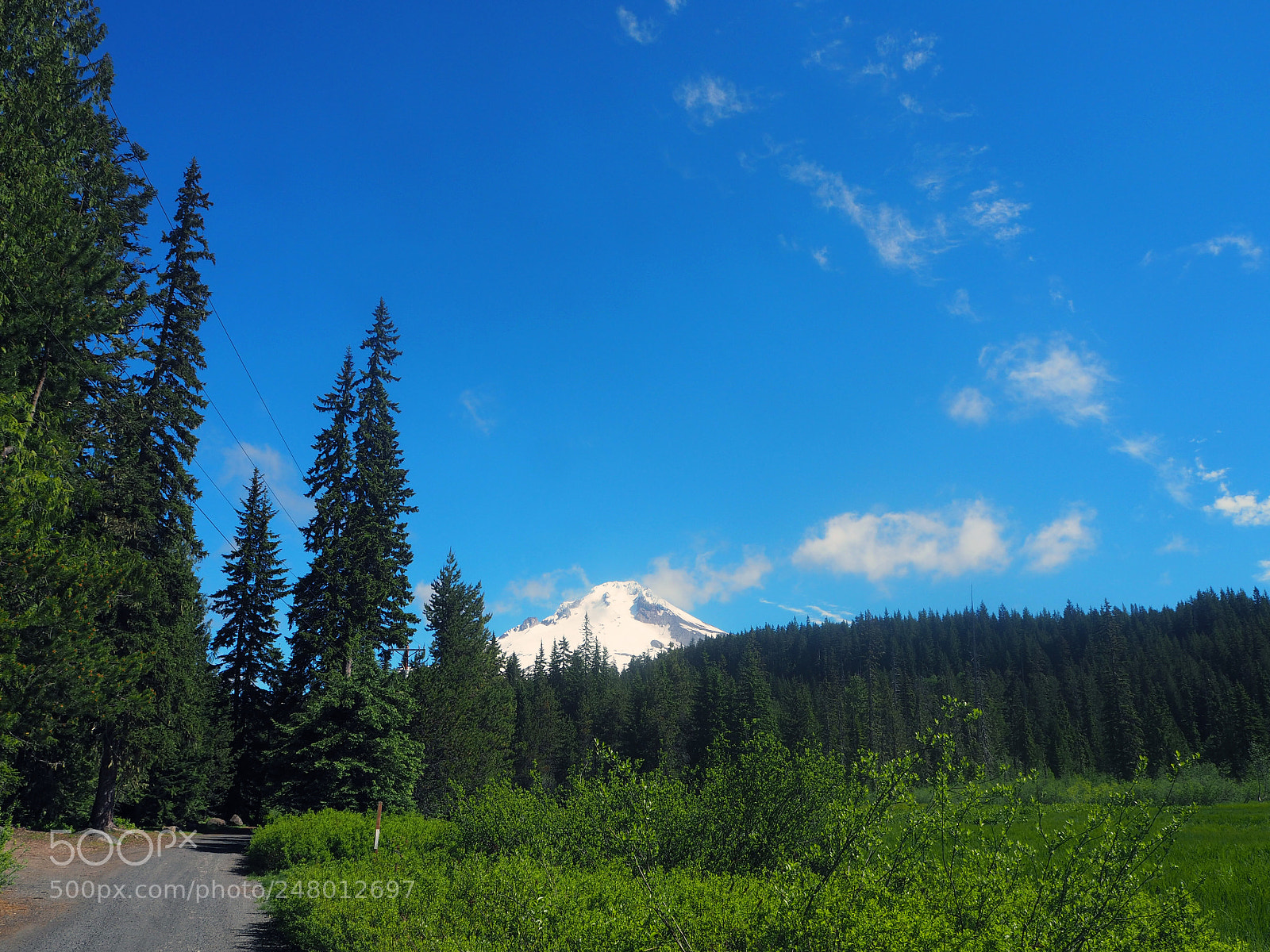 Olympus OM-D E-M10 II sample photo. Mt. hood photography