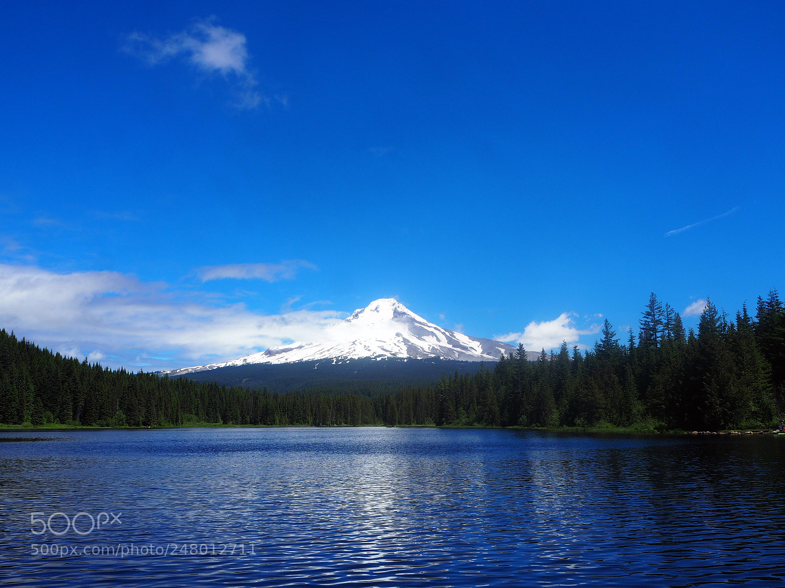 Olympus OM-D E-M10 II sample photo. Mt. hood photography
