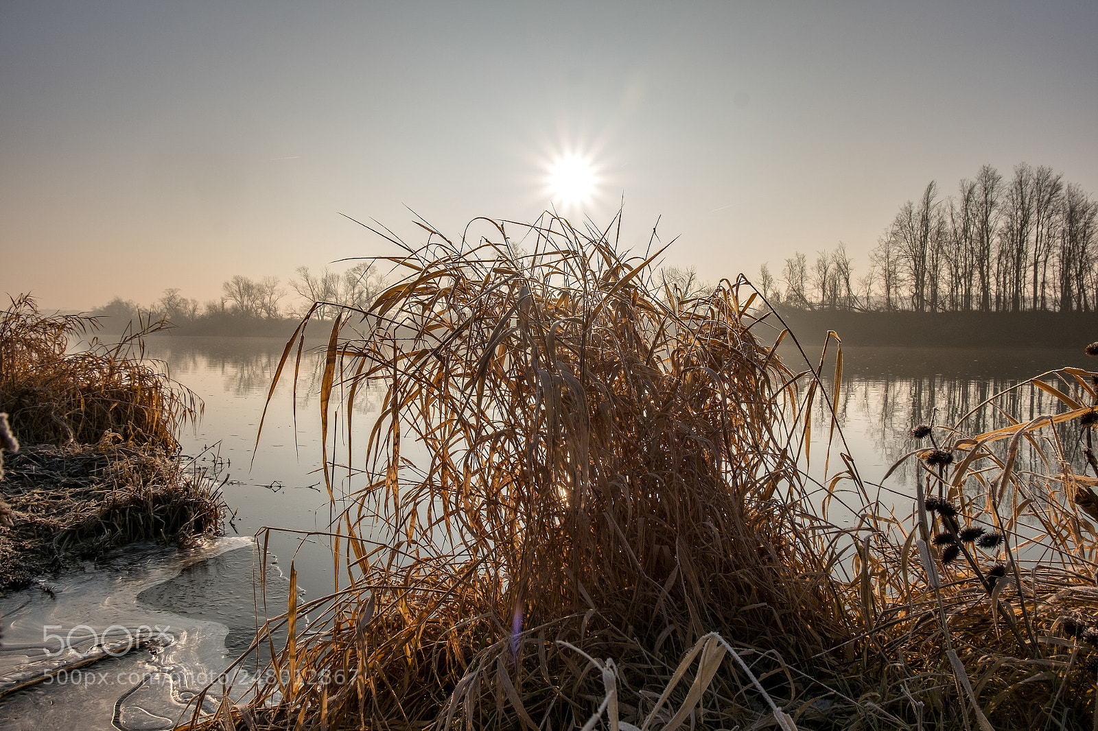 Fujifilm X-M1 sample photo. Cold morning on the photography