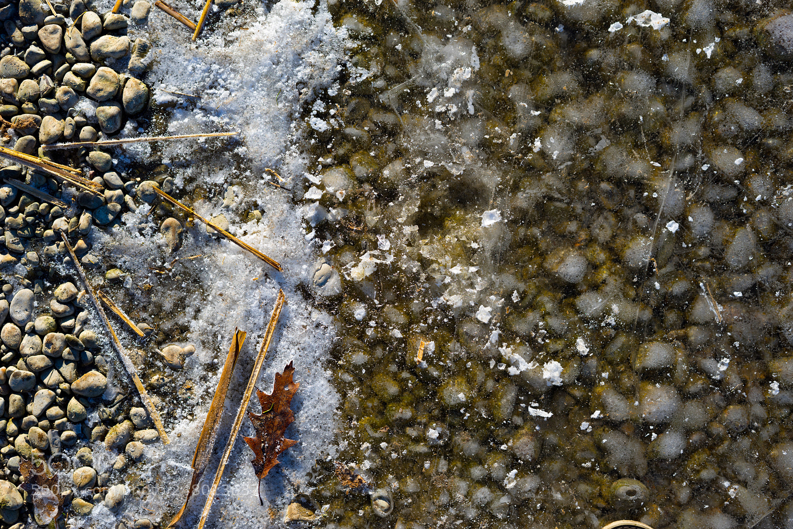 Sony a7R sample photo. Frozen ground photography