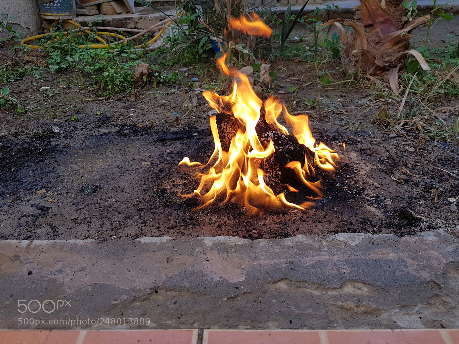 Samsung Galaxy S8+ sample photo. Untitled photography