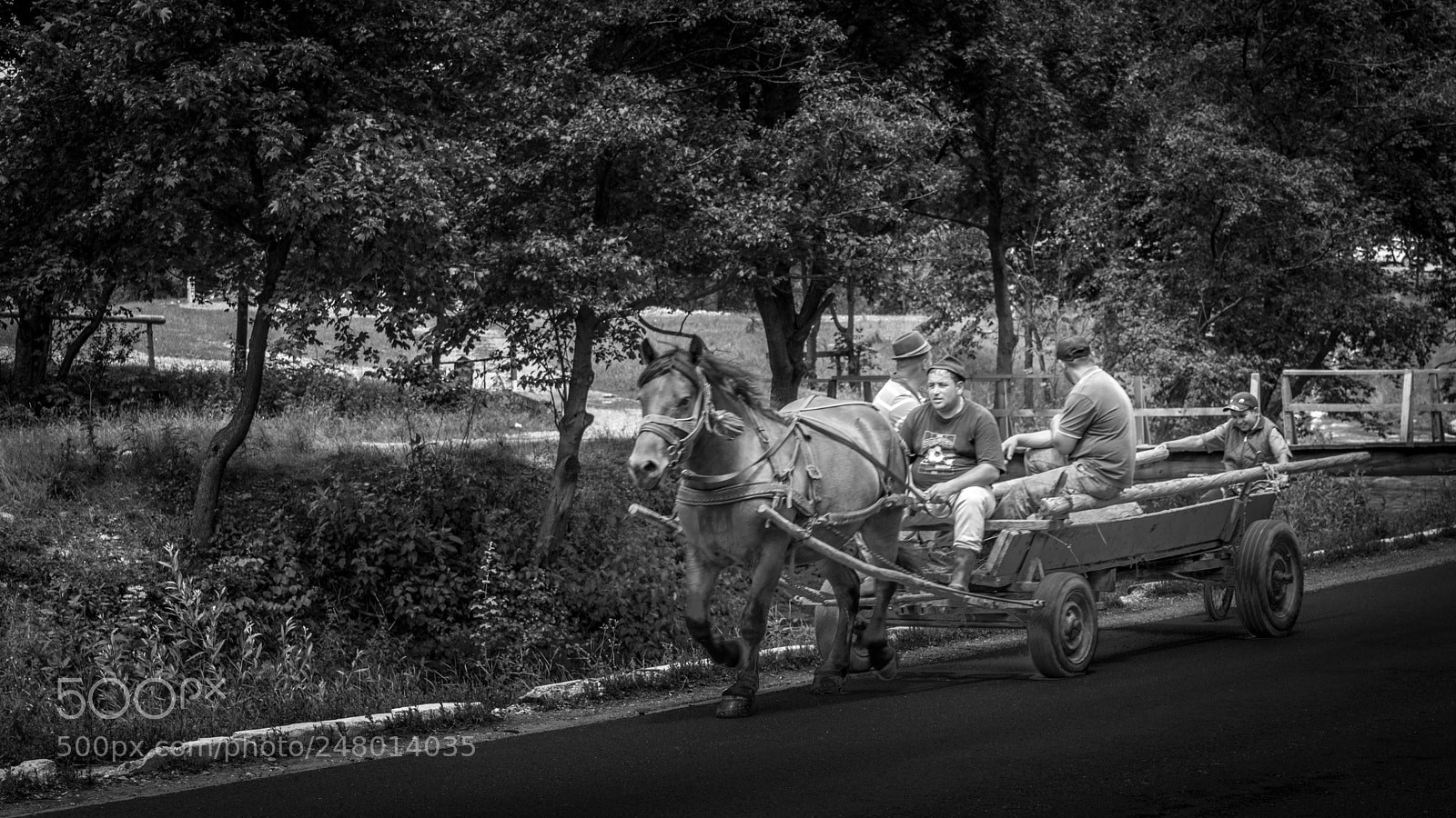 Nikon D3200 sample photo. On the field road... photography