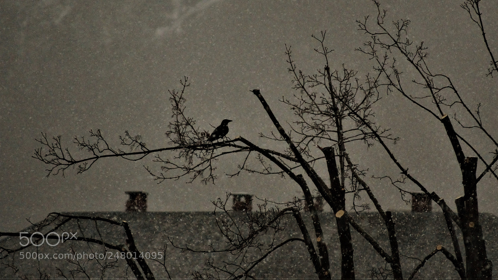 Nikon D3200 sample photo. Untitled photography