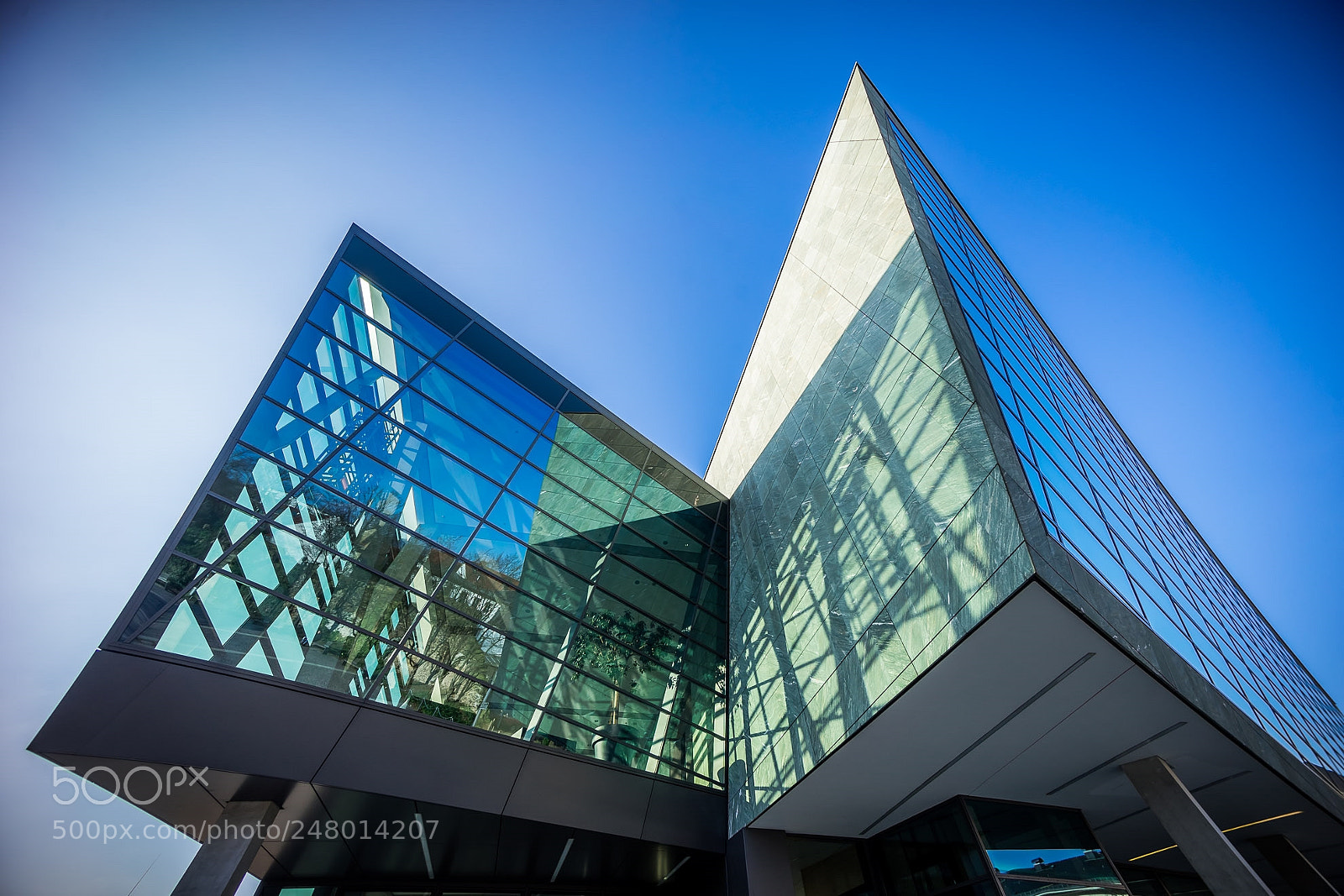 Sony a7 II sample photo. A photography
