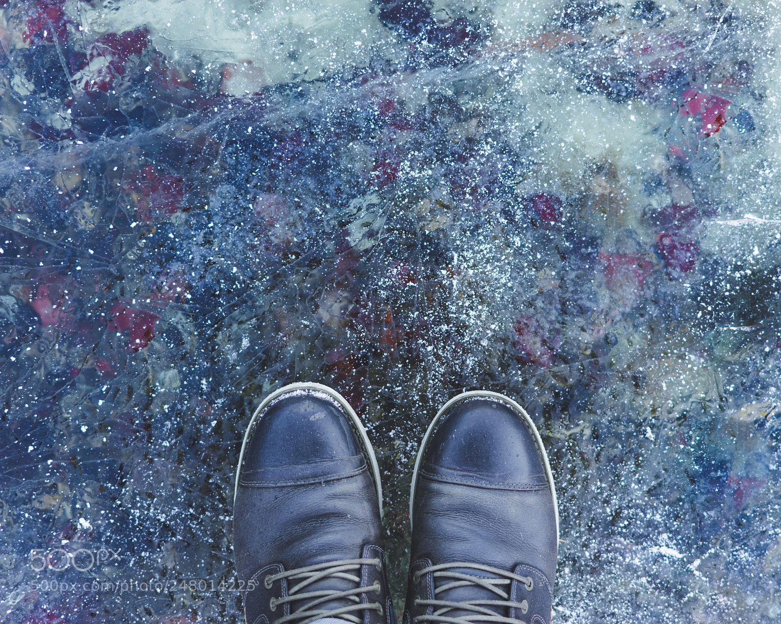 Sony a7R sample photo. Stay on a iced photography