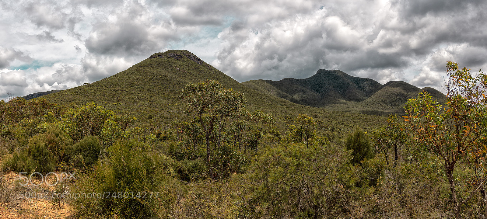 Nikon D850 sample photo. Green peaks photography