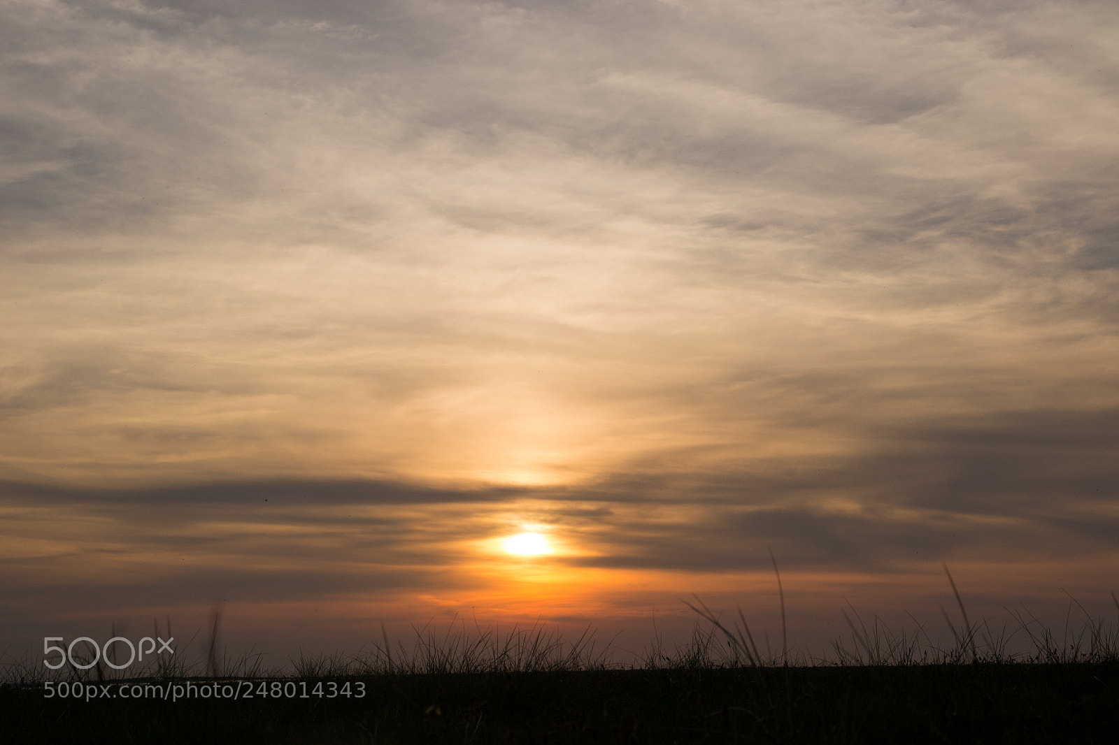 Nikon D3100 sample photo. Sunset photography