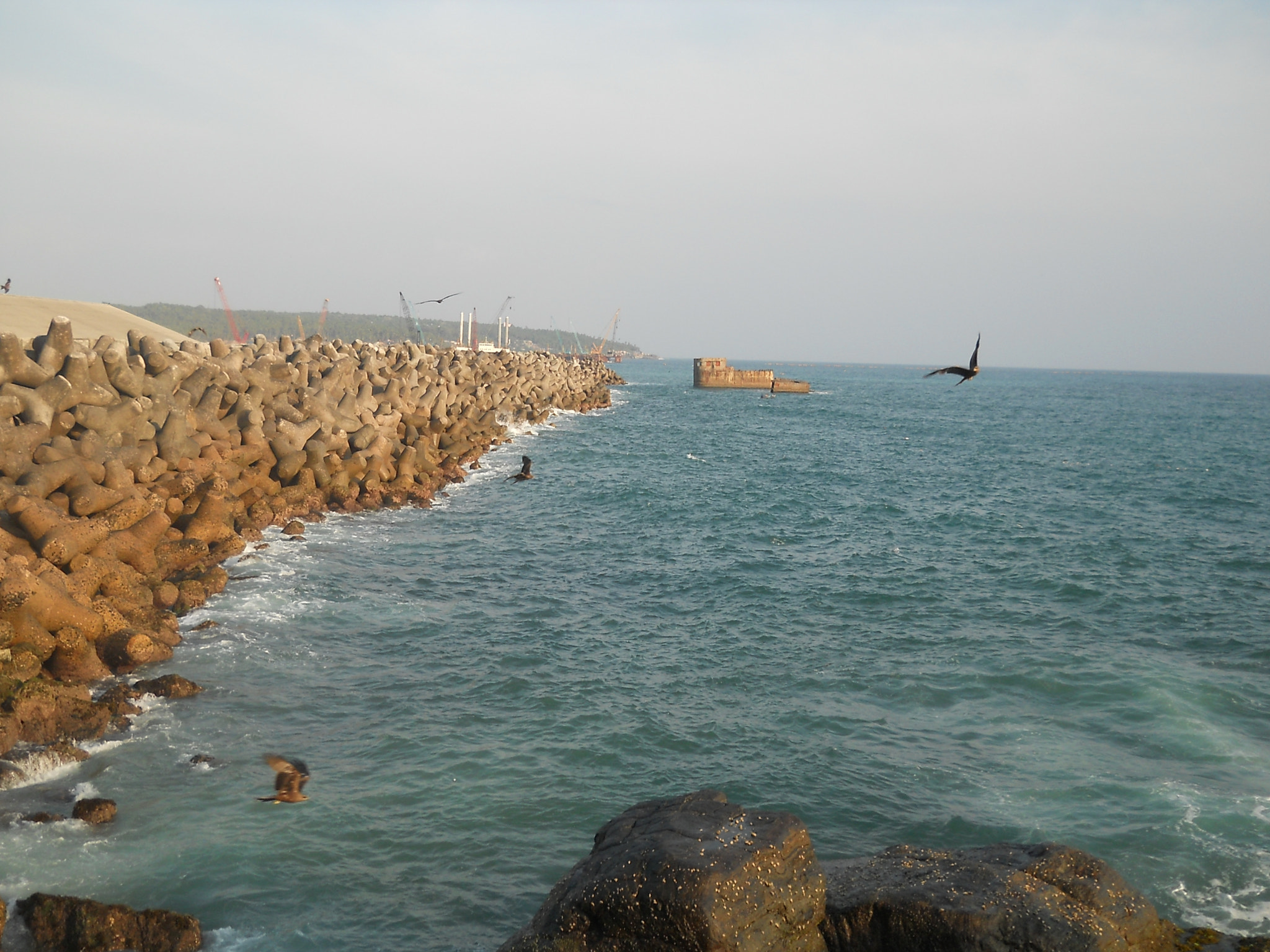 Nikon Coolpix L21 sample photo. Vizhinjam harbour photography