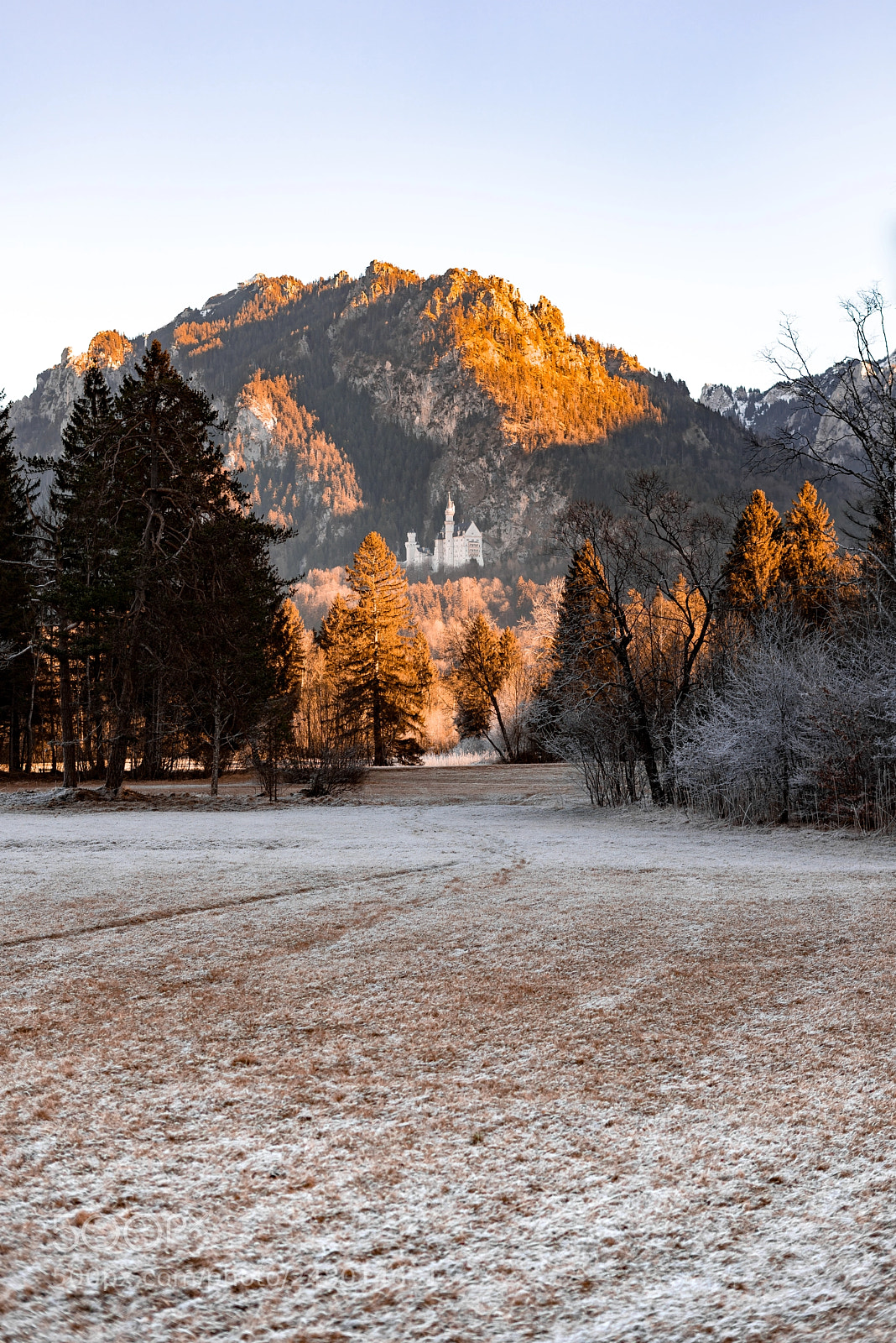 Sony a7R sample photo. Neuschwanstein castle. photography