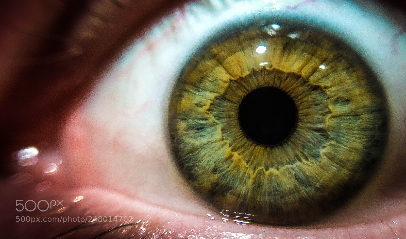 Xiaomi Redmi Note 4 sample photo. Scared woman's iris. photography