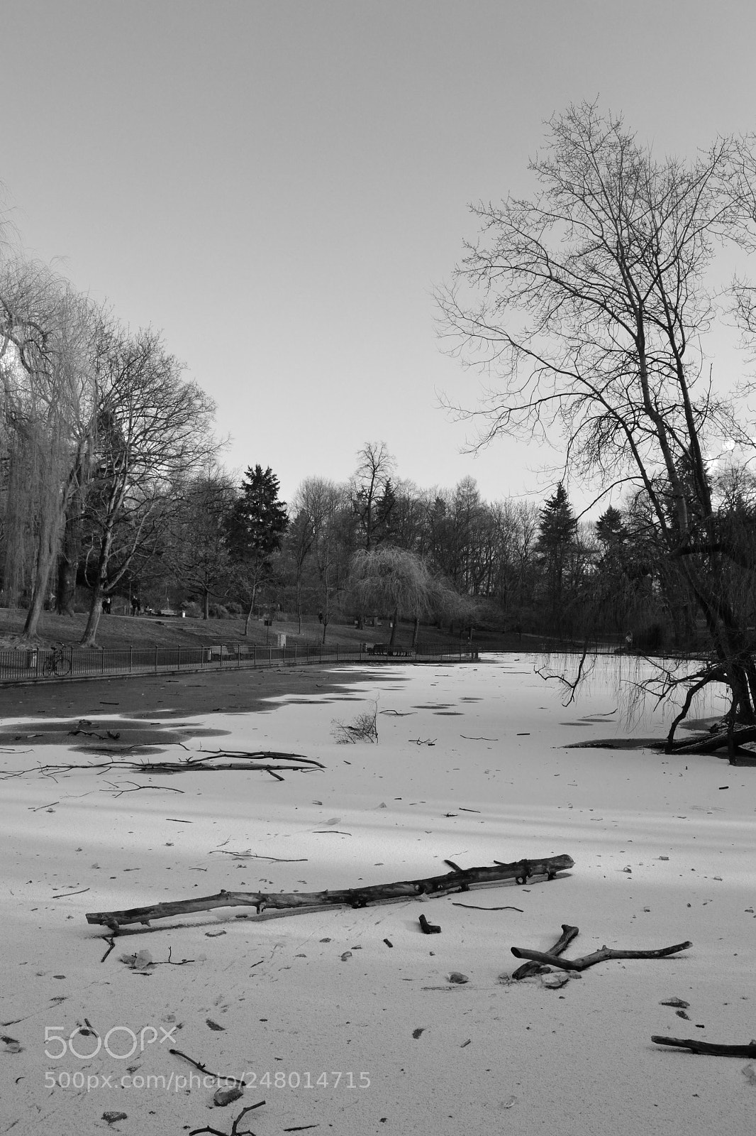 Nikon D3100 sample photo. Winter photography