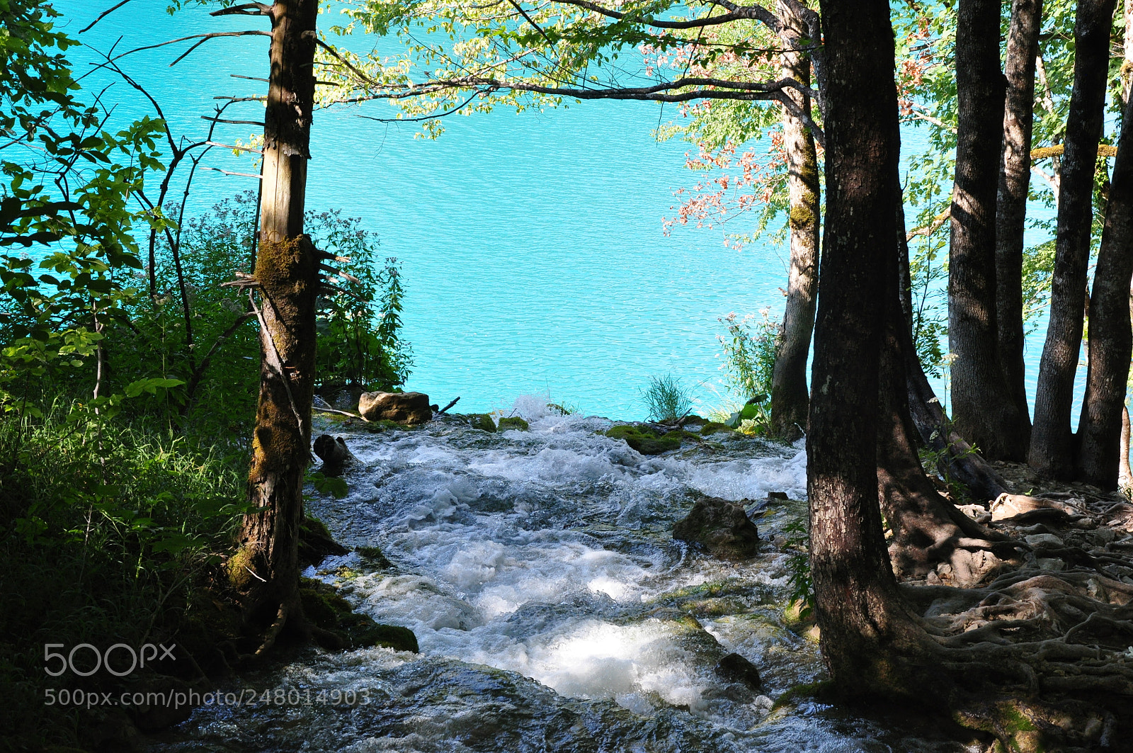 Nikon D90 sample photo. Parc national des lacs photography
