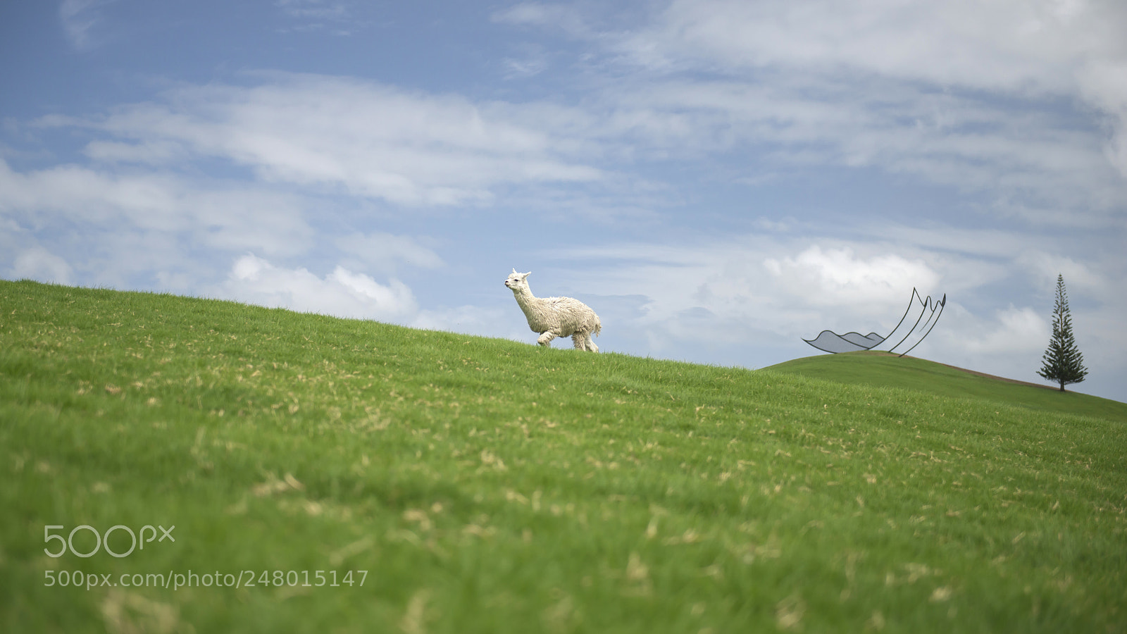 Nikon D800 sample photo. Gibbs farm photography