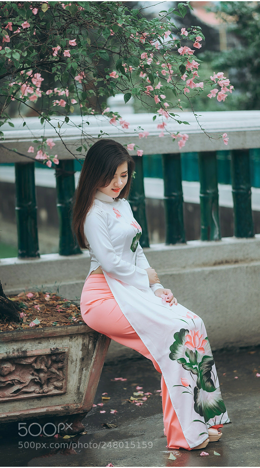 Nikon D700 sample photo. Long dress photography