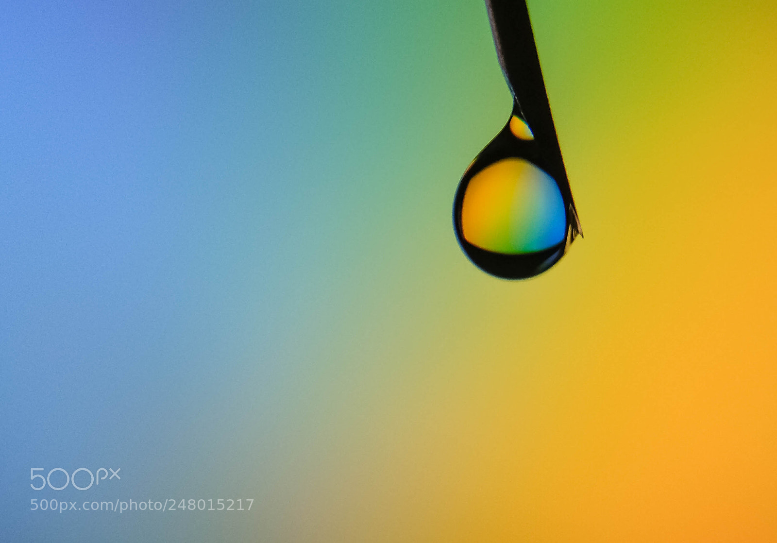 Xiaomi Redmi Note 4 sample photo. Water droplet showing colorful photography