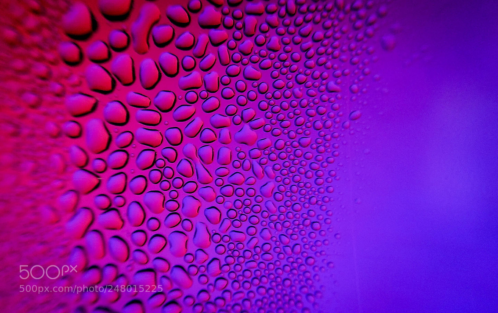 Xiaomi Redmi Note 4 sample photo. Mist of water droplets photography