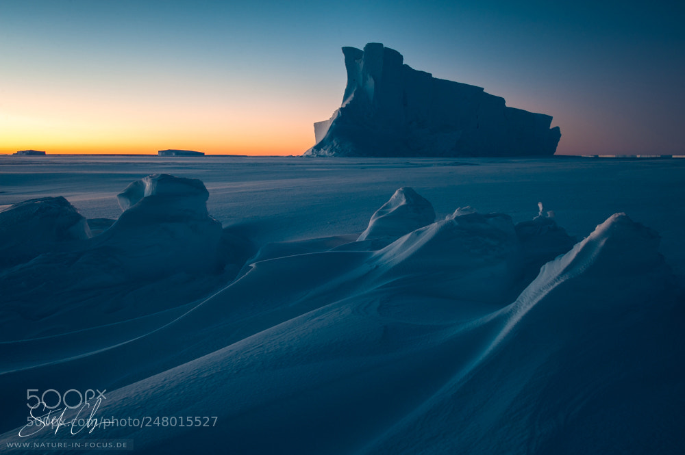 Nikon D700 sample photo. Rabbit iceberg photography