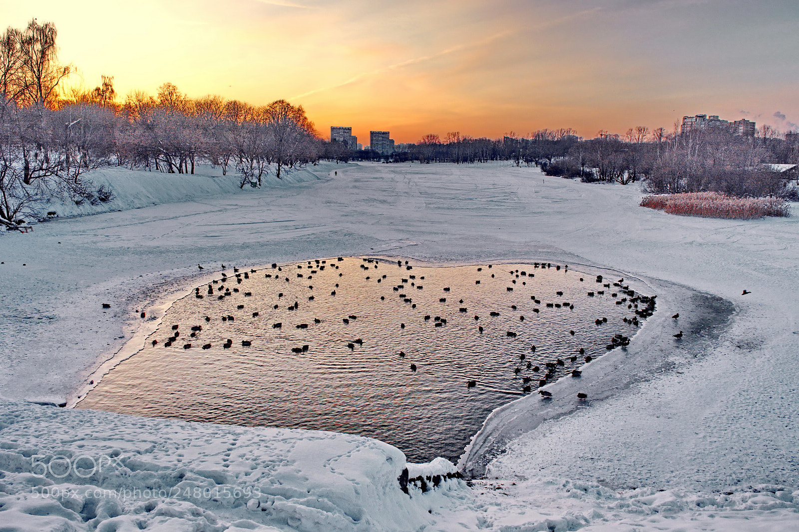 Nikon D5200 sample photo. Winter landscape of moscow photography