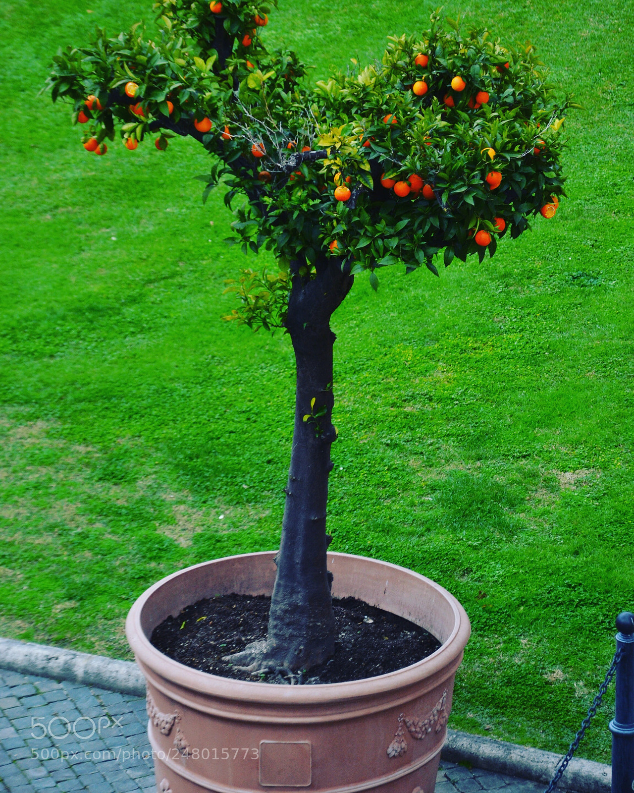Nikon D3100 sample photo. Untitled photography