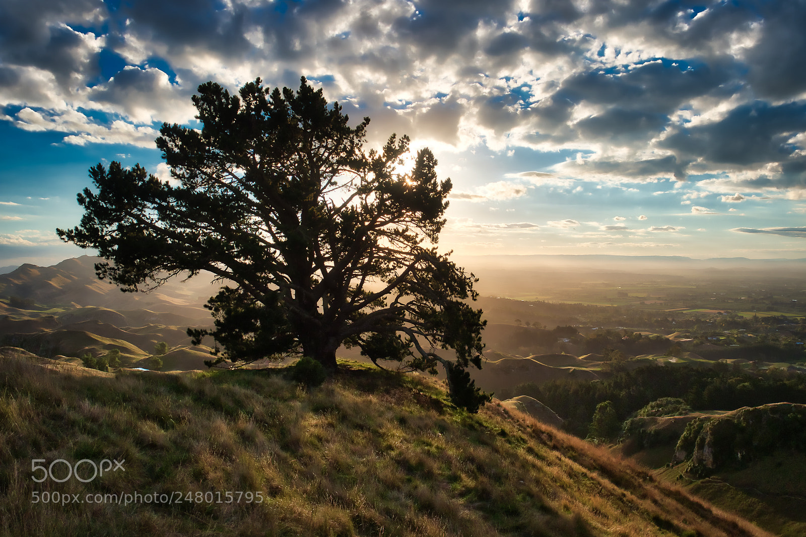 Olympus OM-D E-M1 Mark II sample photo. Te mata sunset photography