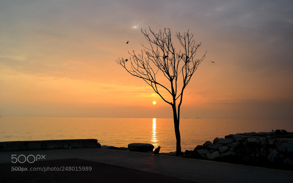 Samsung NX300 sample photo. ... photography