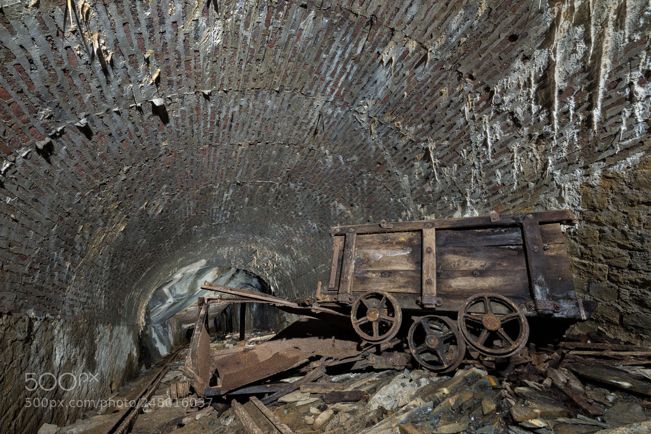 Nikon D600 sample photo. Crashed wooden wagon on photography