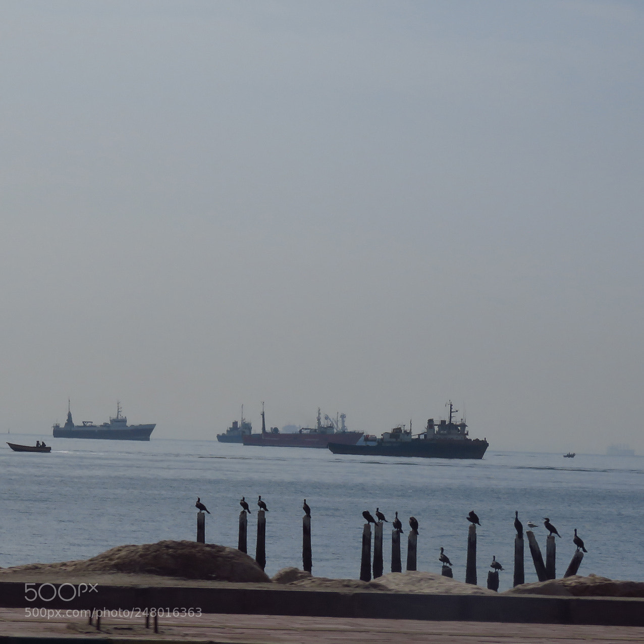 Canon PowerShot SX60 HS sample photo. Watching the ships photography