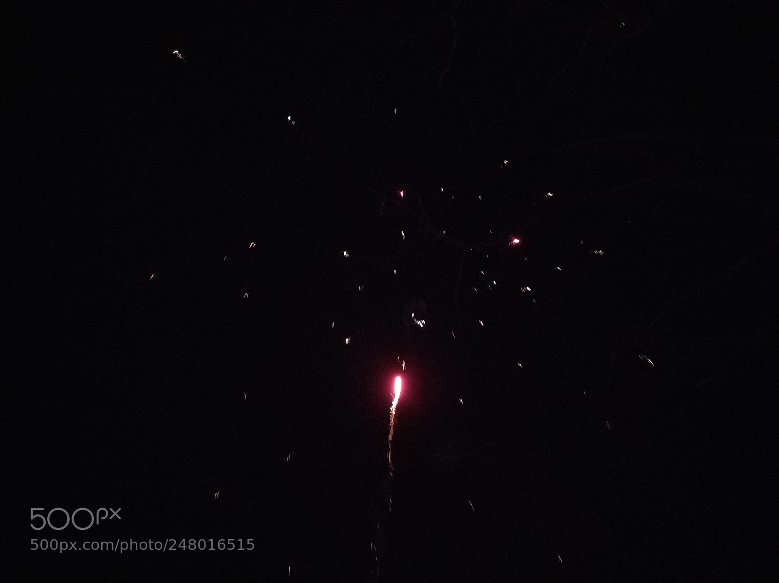 Xiaomi MI6 sample photo. Untitled photography