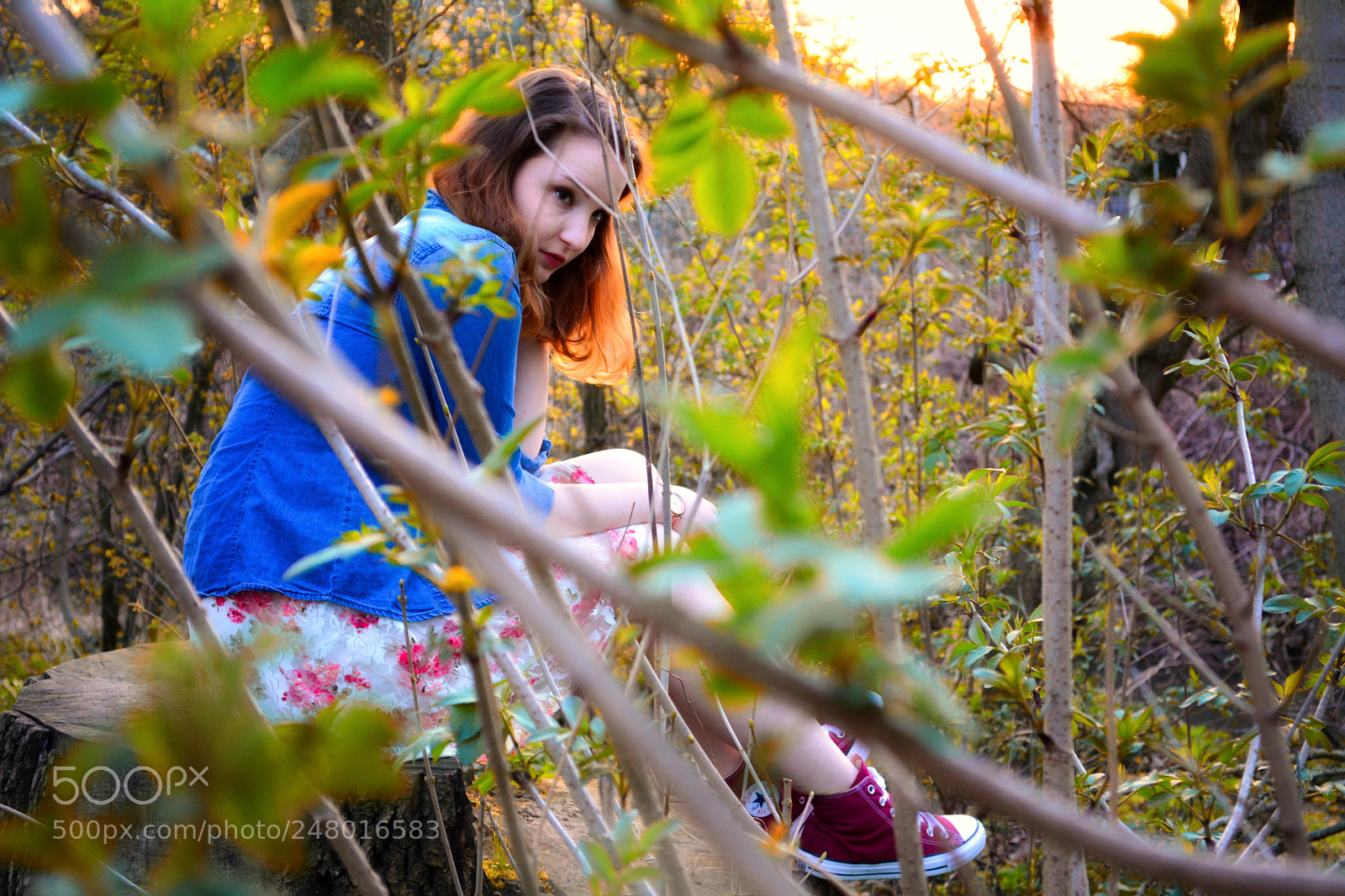 Nikon D5200 sample photo. Nature beauty - beautiful photography