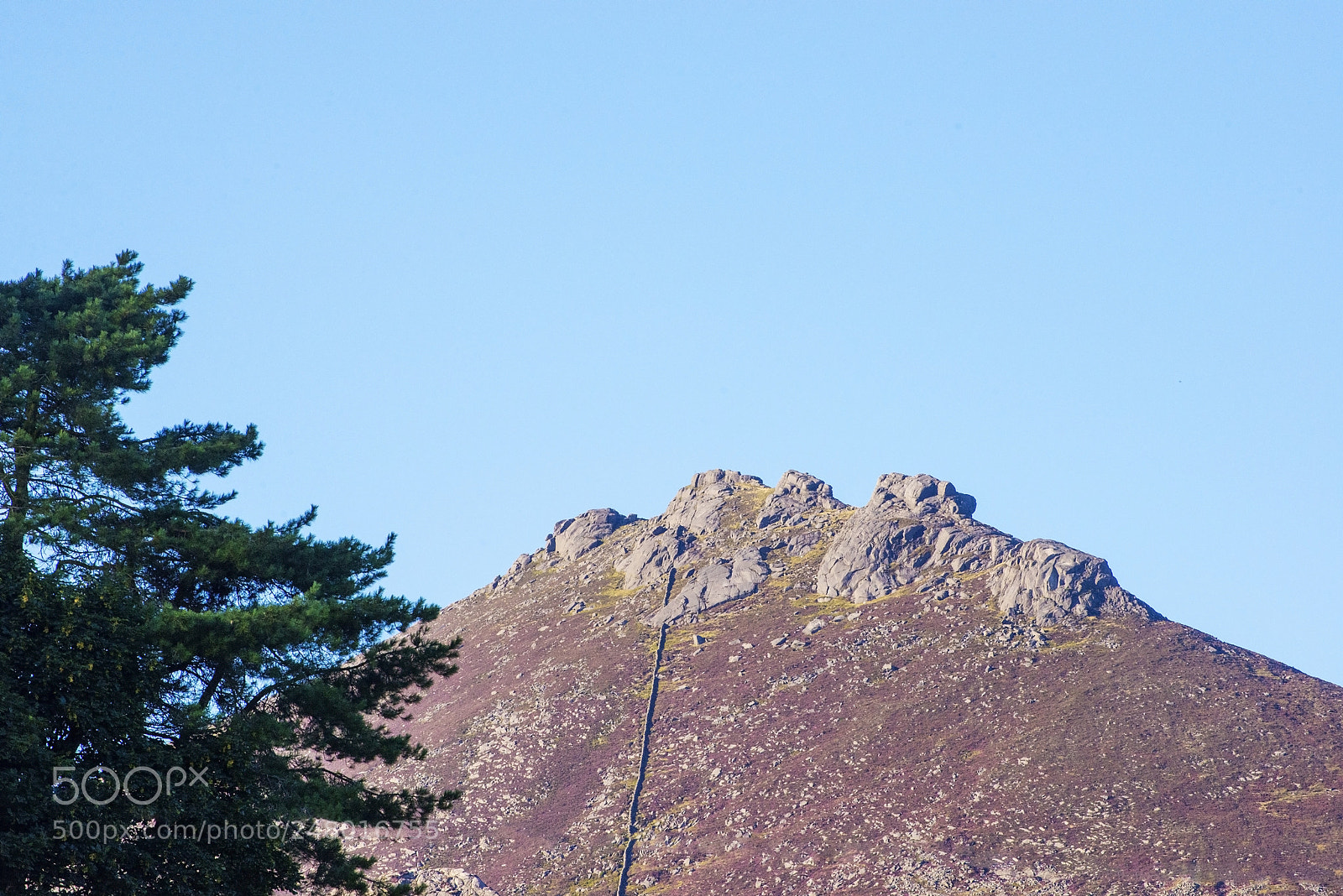 Nikon D600 sample photo. Craggy top! (1) photography